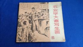 农业学大寨写生画【纪念毛主席发出 农业学大寨 伟大号召十周年】