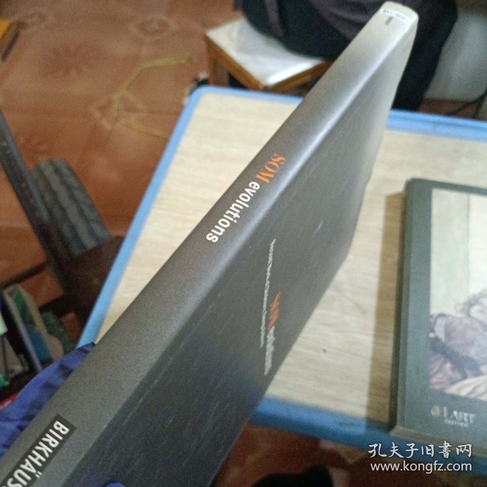 点击查看原图 som evolutions
