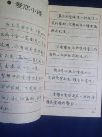 罗兰小语钢笔书法 学生软硬笔字帖（两本合售）