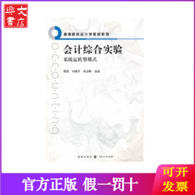 会计综合实验 系统运转型模式