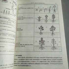 中小型苗圃林果苗木繁育实用技术手册