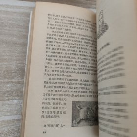 祖国