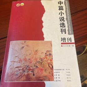 中篇小说选刊  增刊