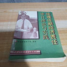 经理任期经济责任审计理论与实践