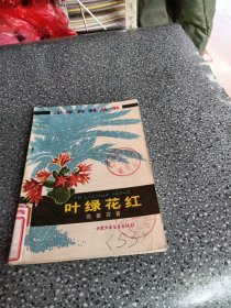 叶绿花红