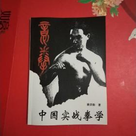 意拳_中国实战拳学（武学资料）