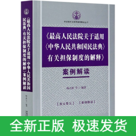 最高人民法院关于适用中华人民共和国民法典有关担保制度的解释案例解读/民法典司法解