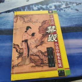中国古代禁毁小说珍秘本集成 金屋梦八段锦