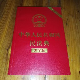 中华人民共和国民法典（大字本）
