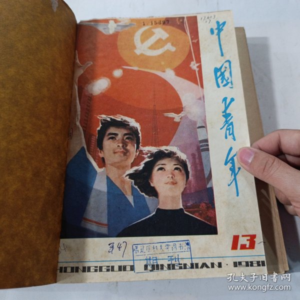 中国青年1981 13-24