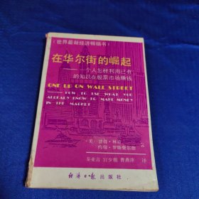 在华尔街的崛起：一个人怎样利用已有的知识在股票市场赚钱