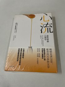 心流：最优体验心理学