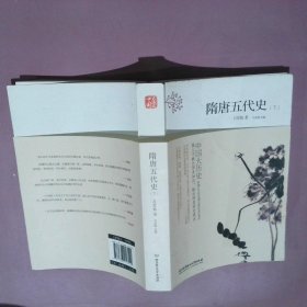 中国大历史：隋唐五代史