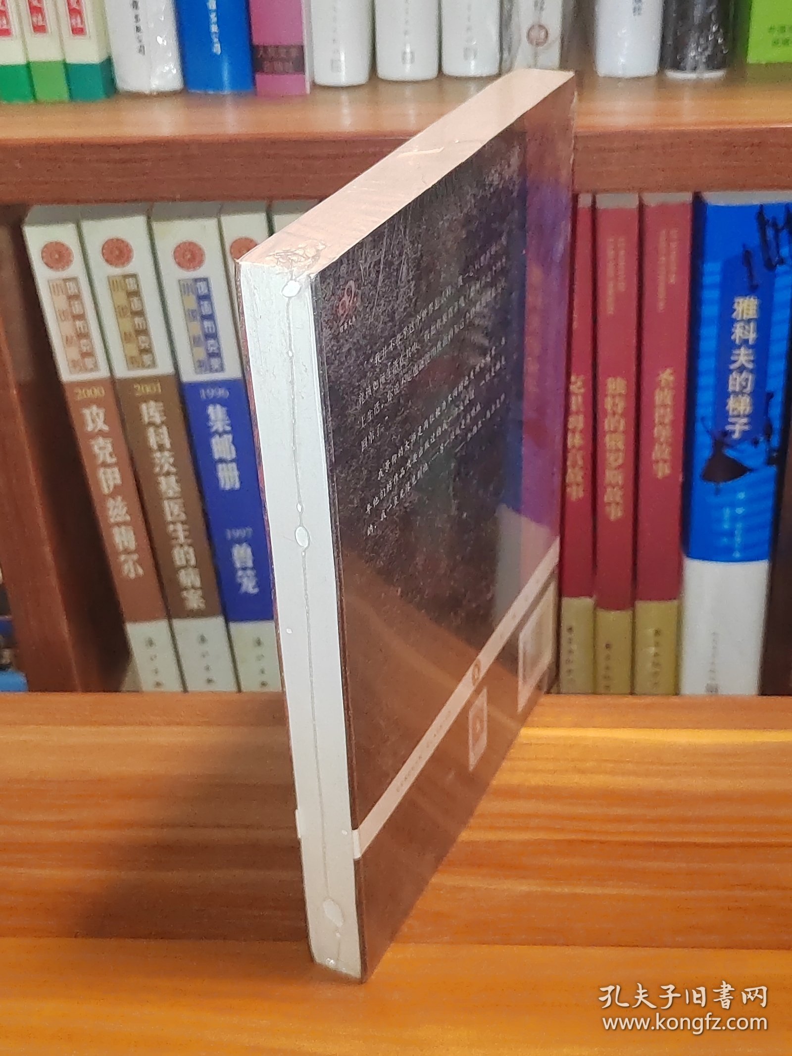 太阳照常升起：企鹅经典（未拆封）