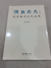 练霄鹤书法作品集（精装大8开）