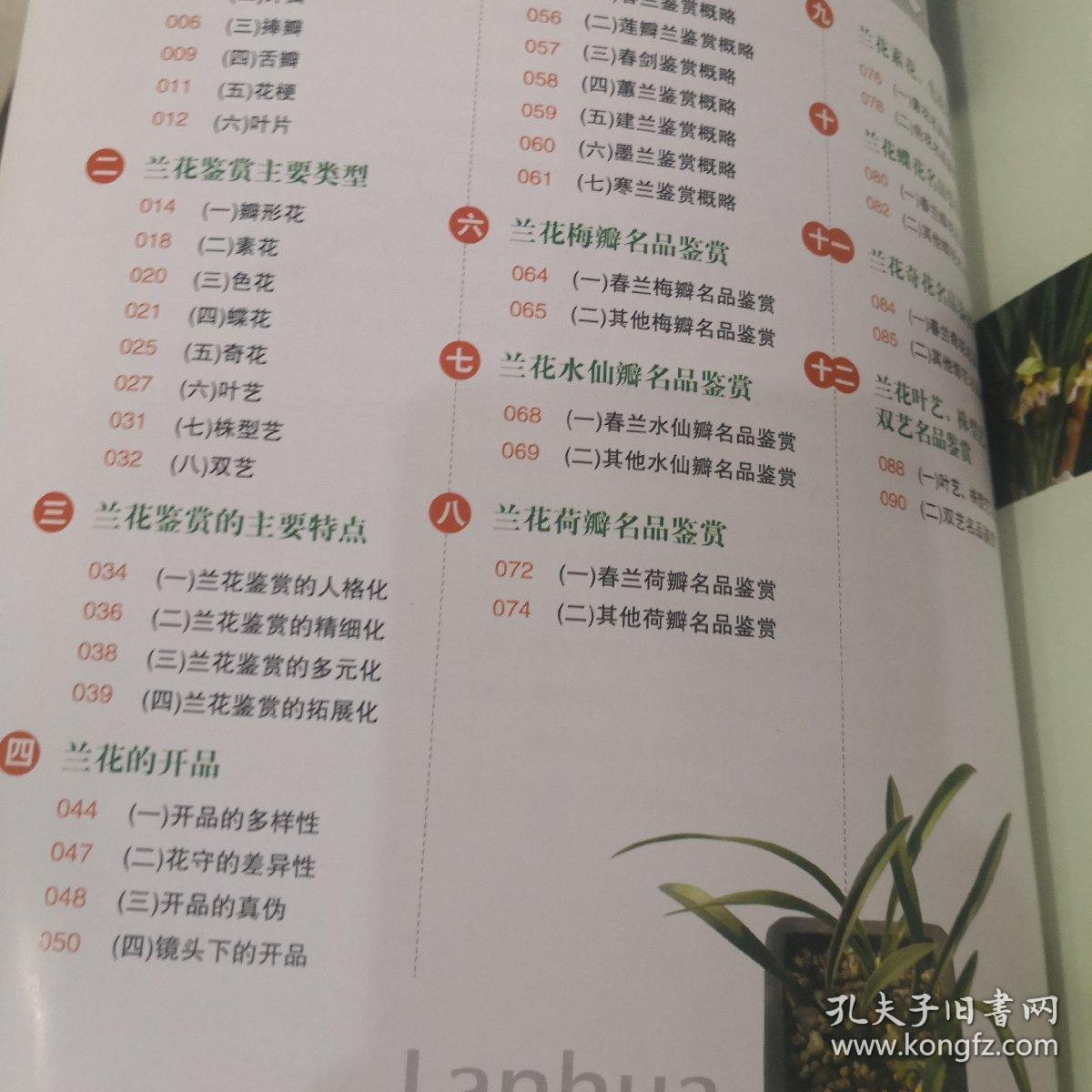 图说中国兰花鉴赏