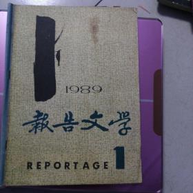 报告文学1989年1