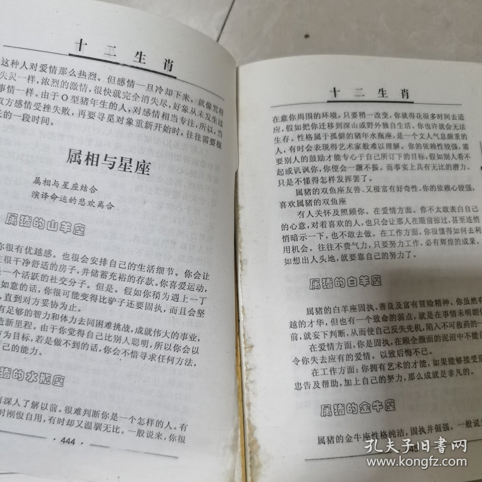 十二生肖