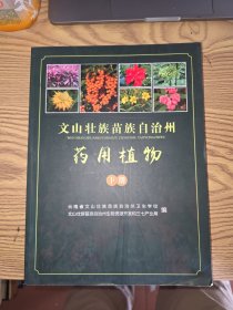 文山壮族苗族自治州药用植物（下）