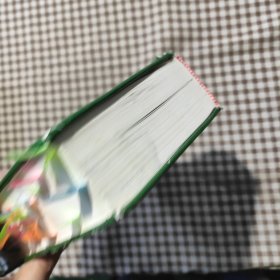 东南亚国家语言辞书系列:新越汉词典