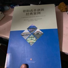 德阳改革创新经典案例