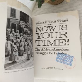 Now Is Your Time! The African-American Struggle for Freedom