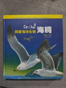 海鸥/我爱海洋生物(精)