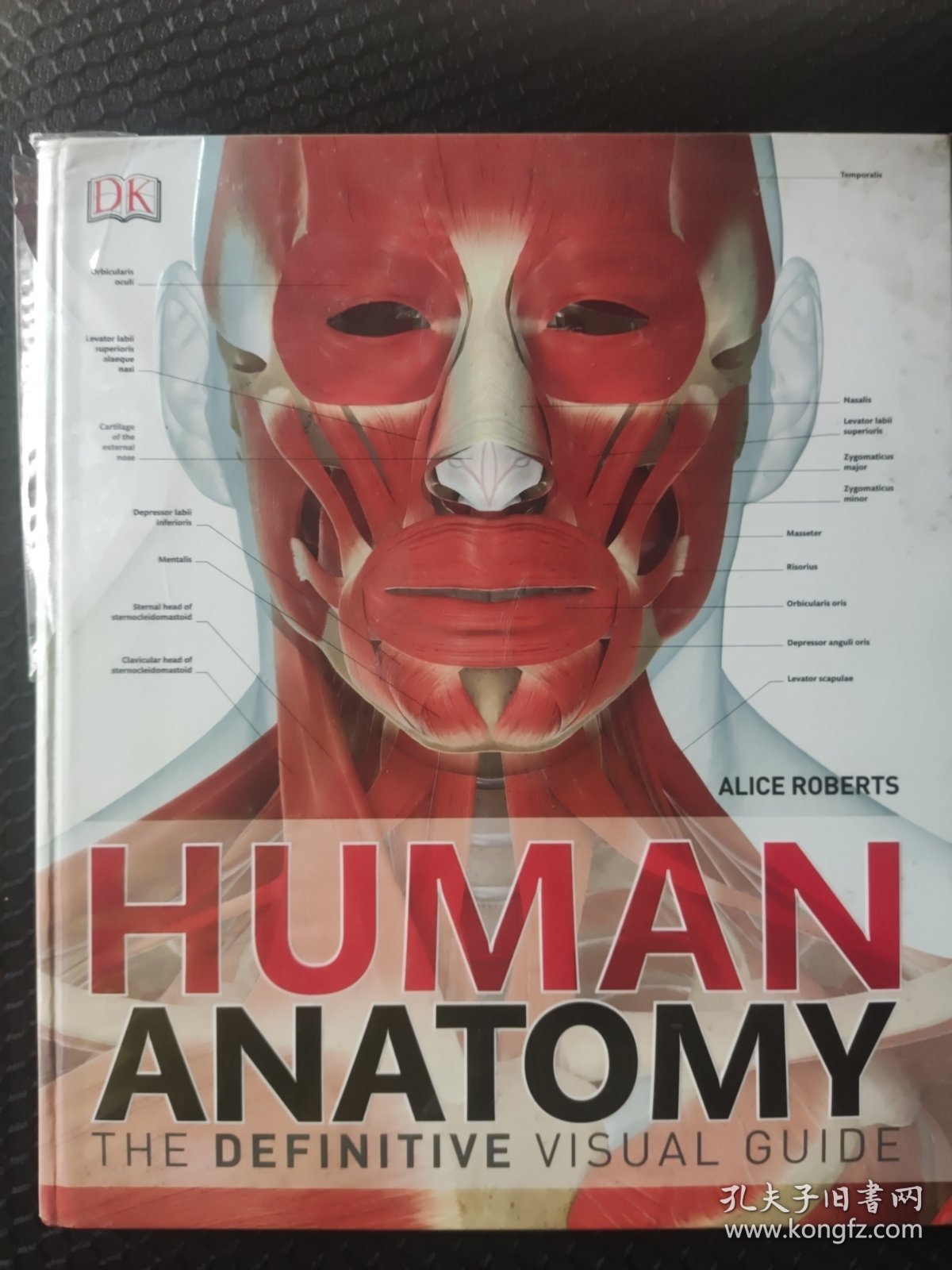 原版 Human Anatomy
