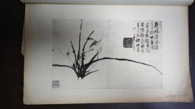 民国珂罗版画册扬州八怪之一李方膺《李晴江墨兰画册》，线装一册全，白纸大开本
