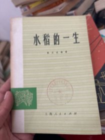 水稻的一生