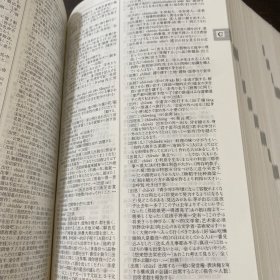 中日大辞典 增订第二版
