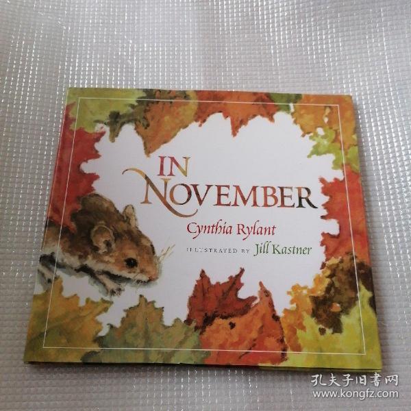 IN NOVEMBER