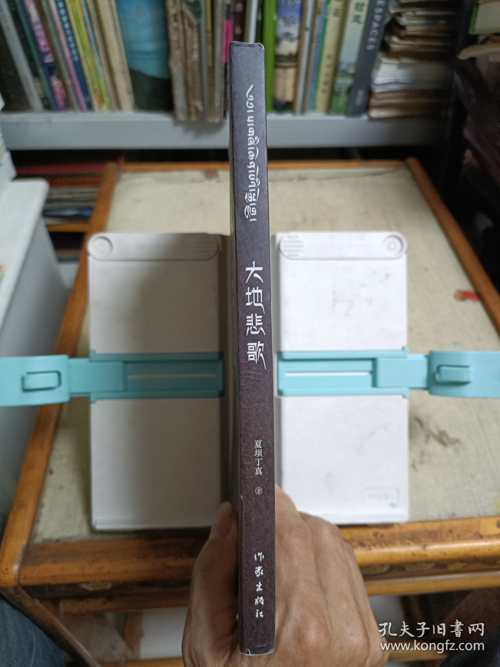 大地悲歌