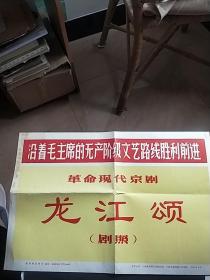 新闻展览照片《龙江颂》20张，