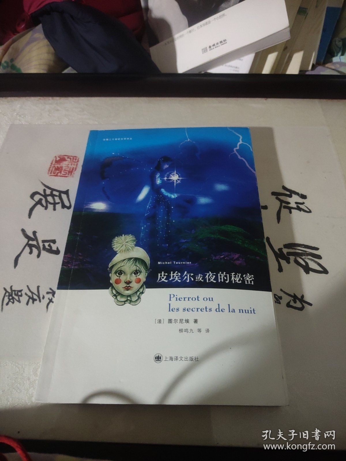 皮埃尔或夜的秘密：法国二十世纪文学译丛