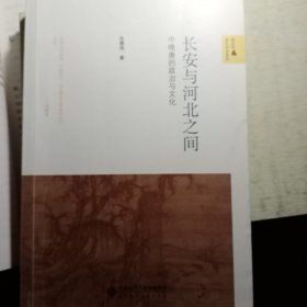 长安与河北之间：中晚唐的政治与文化