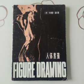 人体素描