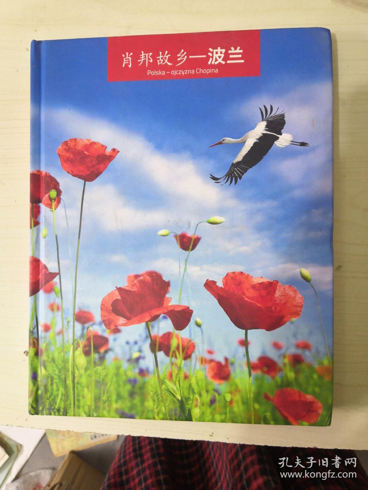 肖邦故乡:波兰(精装)