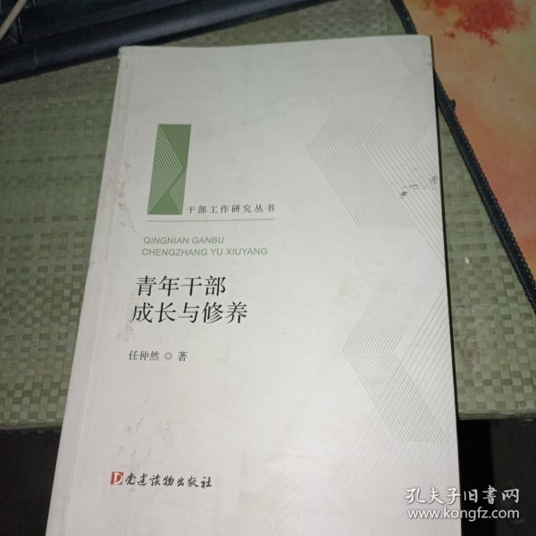 青年干部成长与修养（干部工作研究丛书 人梯书库）