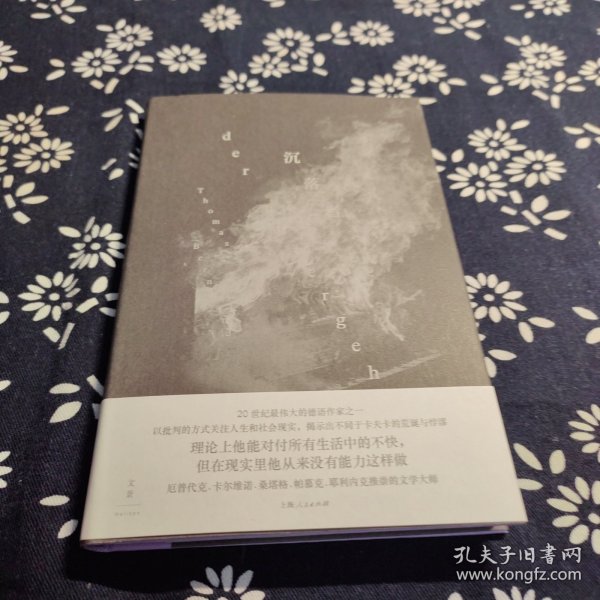 沉落者（伯恩哈德经典小说中文版首次翻译出版，厄普代克、卡尔维诺、桑塔格、帕慕克、耶利内克推崇的文学大师）