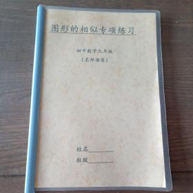 【复印件】图形的相似专项练习 初中数学九年级（名师推荐）【内容全新】