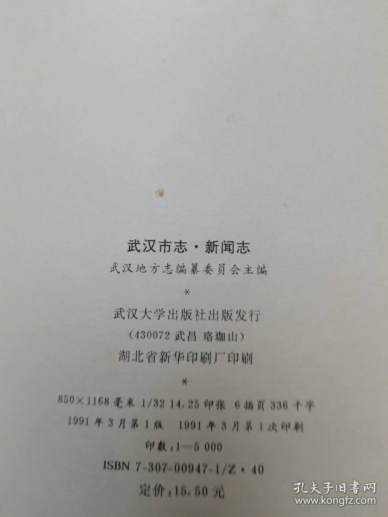 武汉市志·新闻志