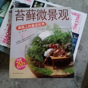 苔藓微景观：桌面上的童话世界