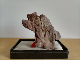 新进洛阳梅花石原石1749“青山生金钱”（包浆好，石型好）、雪花石原石1755（色彩、图案都美，磁性强，养生保健效果好）、荷花石原石1771（石型好）、荷花石原石1778（花纹好，石型好）、荷花石原石1780（花型好，磁性强，养生保健效果好）、卫河原石3920“多面美石”（玲珑多姿，石型完好，自然天成）（可零售，共6块，每块5元）