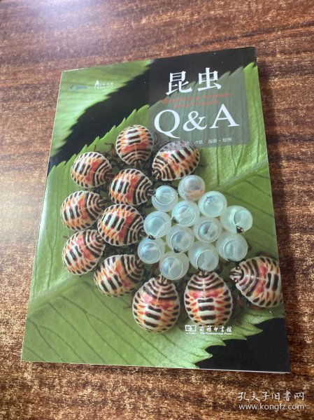 昆虫Q&A