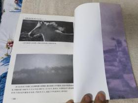 人书大决战淮海战役