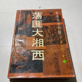 荡匪大湘西，湘西剿匪纪实