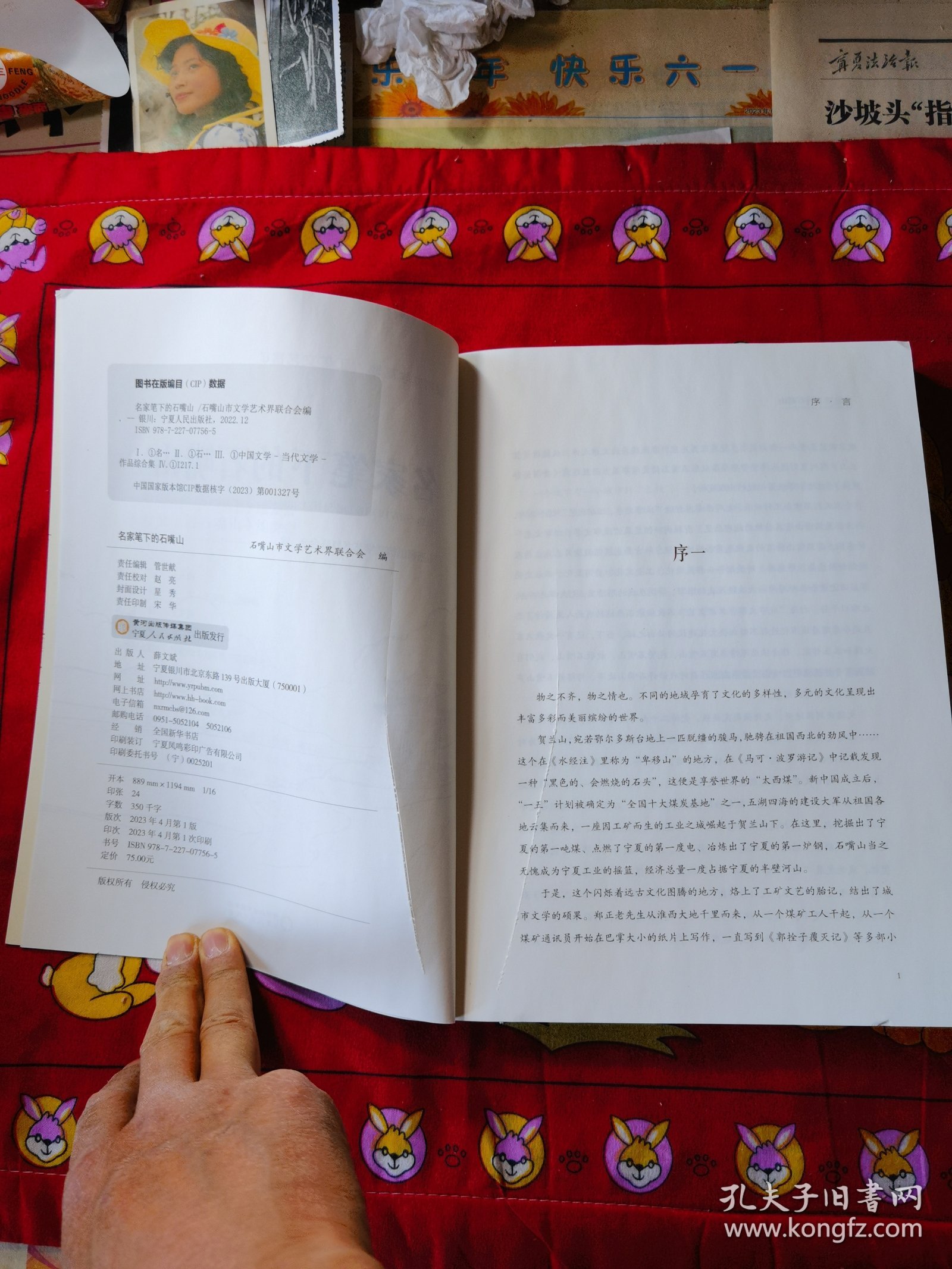 名家笔下的石嘴山