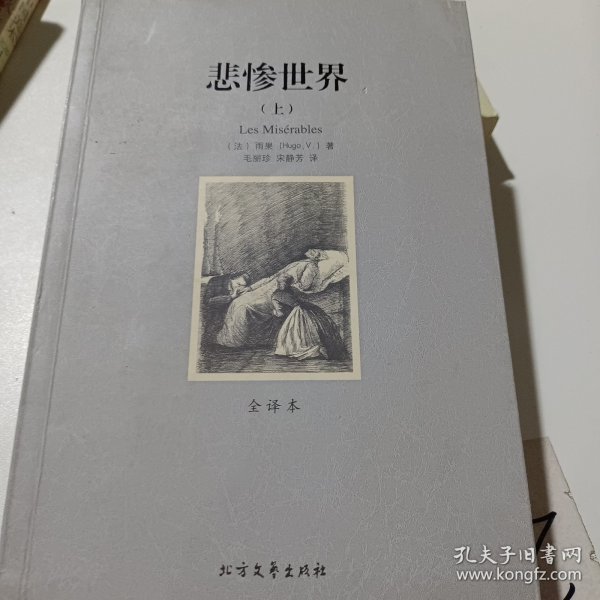 世界文学名著:悲惨世界(全译本)(套装共2册)