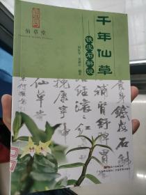 千年仙草：铁皮石斛说